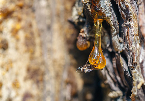 信越KS-603麻豆精品无码