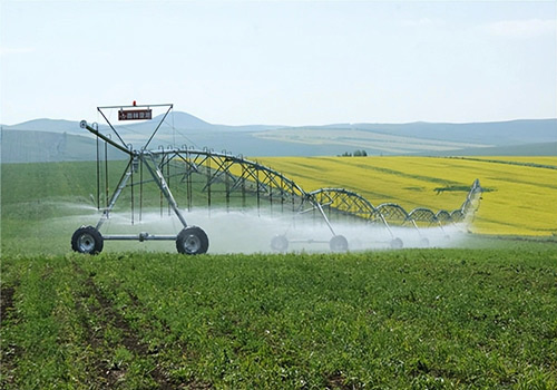 羅地亞454麻豆精品无码