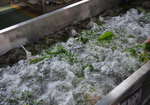 道康寧1520麻豆精品无码