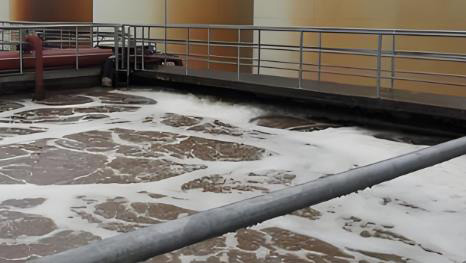 道康寧麻豆精品无码